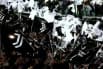 Obrazek news: Juventus - Parma składy na spotkanie. Potwierdzone jedenastki (24.08.2025)