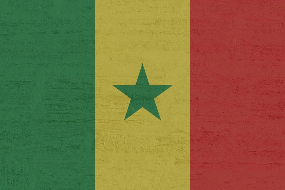 Obrazek newsa : Senegal - Irak oceny zawodników po spotkaniu (26.06.2026)