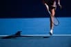Obrazek news: WTA Berlin 2025 gdzie oglądać? Transmisja TV i online