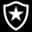 Logo drużynyBotafogo