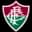 Logo drużynyFluminense