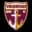 Logo drużynyVoluntari
