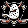 Logo drużynyAnaheim Ducks