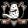 Logo Drużyny Anaheim Ducks