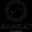 Logo drużynyArarat-Armenia