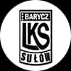Logo drużynyBarycz Sułów
