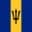 Logo drużynyBarbados
