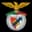 Logo drużynyBenfica e Castelo Branco