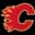 Logo drużynyCalgary Flames