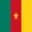 Logo drużynyKamerun