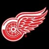 Logo drużynyDetroit Red Wings
