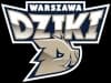 Logo drużynyDziki Warszawa
