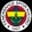 Logo drużynyFenerbahce