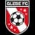 Logo drużynyGlebe