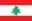 Logo drużynyLebanon