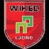 Logo drużynyLuzino