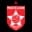 Logo drużynyPartizani