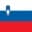 Logo drużynySłowenia