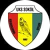 Logo Drużyny Sokół Kolbuszowa Dolna