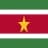 Logo drużynySurinam