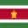 Logo drużynySurinam
