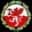 Logo drużynyTrafford FC