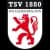 Logo drużynyTSV 1880 Wasserburg
