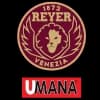 Logo drużynyVenezia