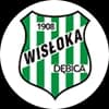 Logo drużynyWisłoka Dębica