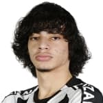 Zdjęcie redaktora: undefined Matheus Nascimento