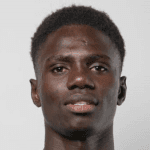 Zdjęcie redaktora: undefined Cheikh Fall