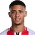 Zdjęcie : Gustavo Gustavo Nunes