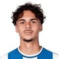 Zdjęcie : João João Teixeira