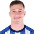 Zdjęcie : Luka Luka Sučić