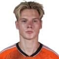 Zdjęcie : Ovidijus Ovidijus Šiaulys