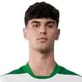 Zdjęcie : Rodrigo Rodrigo Ribeiro