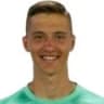 Tarik Karić