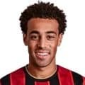 Zdjęcie : Tyler Tyler Adams