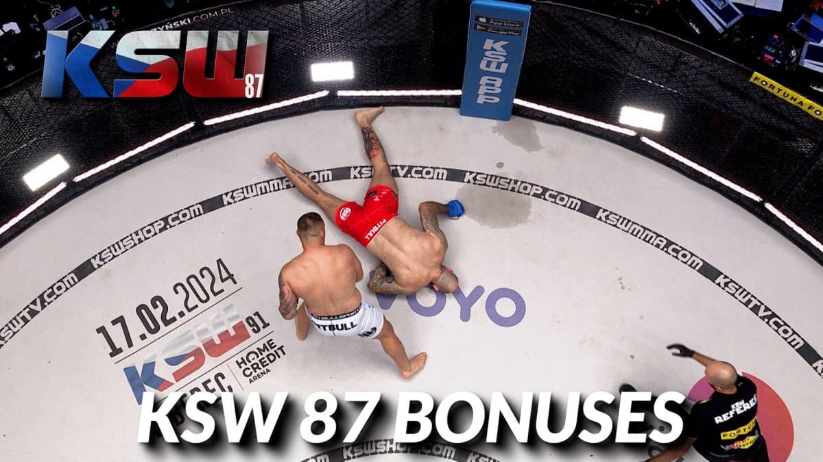 Obrazek newsa : KSW 87: Kogo doceniono po gali?