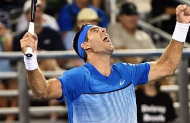 Obrazek newsa : Analiza meczu: Juan Martin del Potro - Roberto Bautista Agut